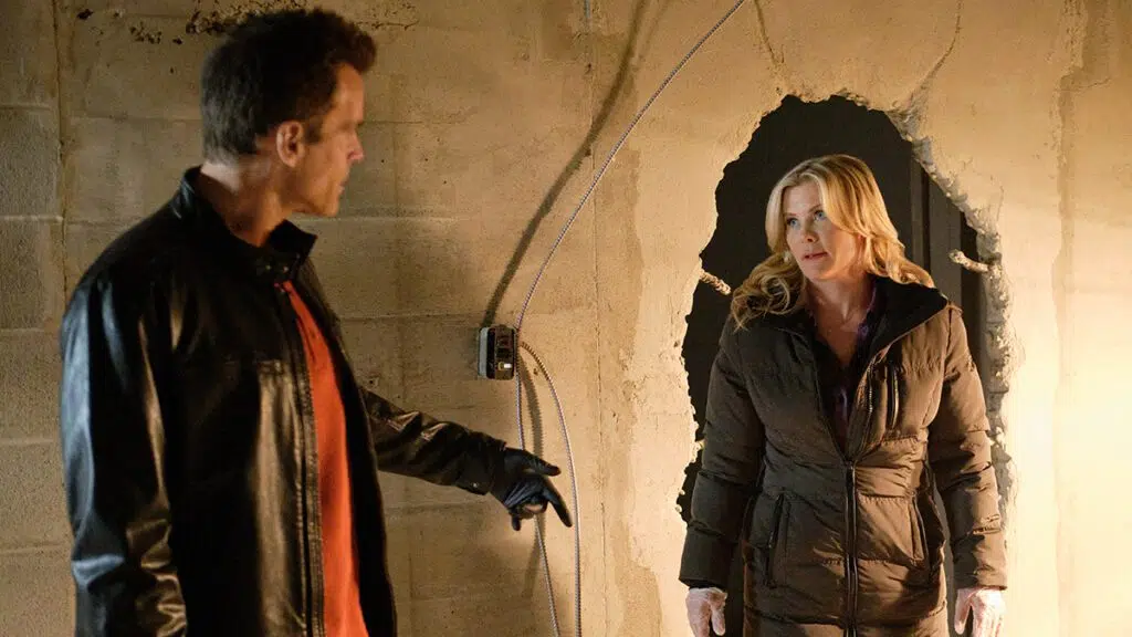 Cameron Mathison, Alison Sweeney, Carrot Cake Murder: A Hannah Swensen Mystery, Hallmark Movies & Mysteries