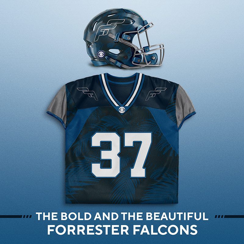 NFL on CBS, The Bold and the Beautiful, Bold and the Beautiful, Bold and Beautiful, Bold & the Beautiful, Bold & Beautiful, B&B, #BoldandBeautiful