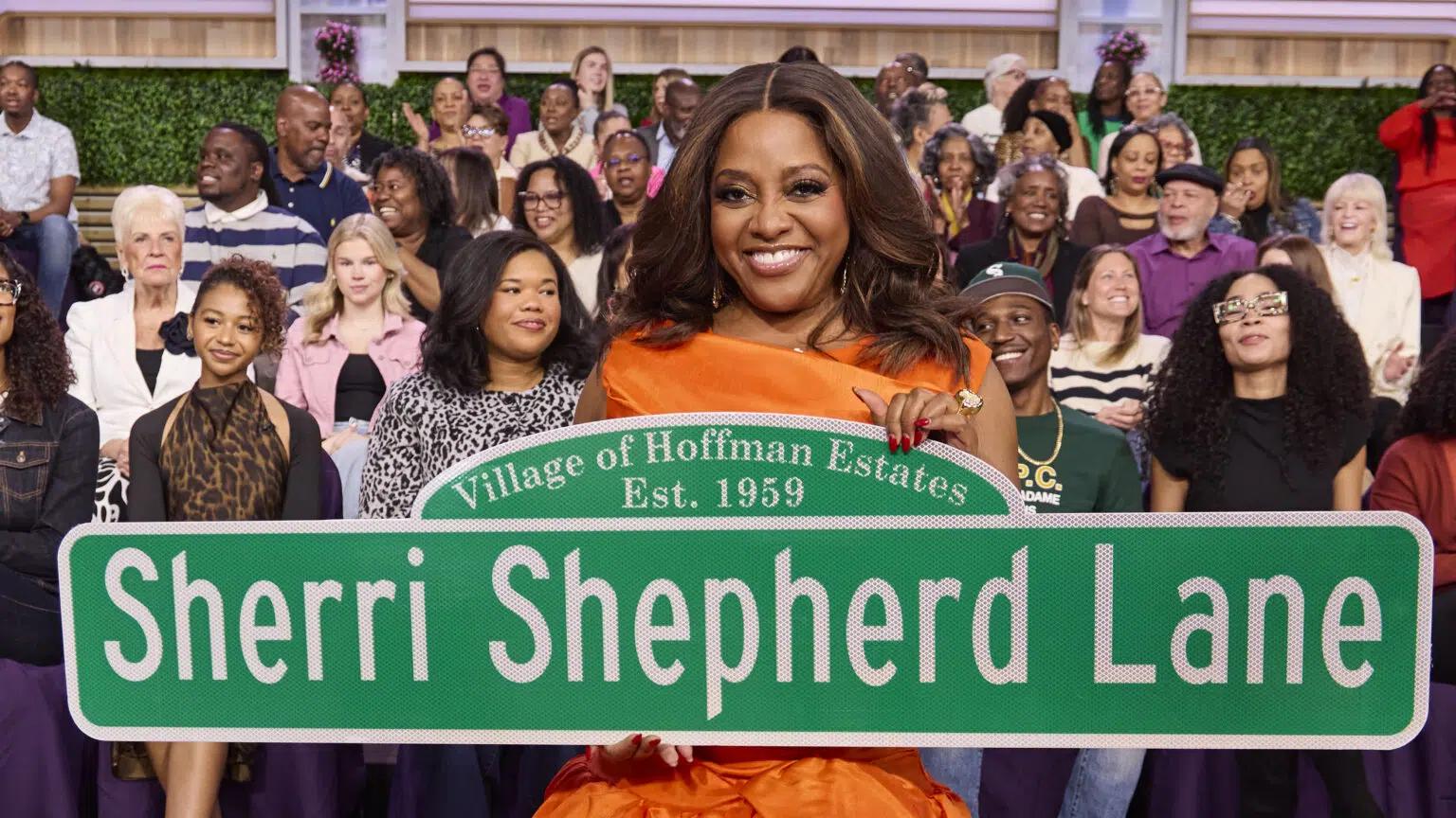 Sherri Shepherd, Sherri, Talk Show